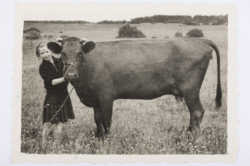 Tüdruk lehmaga 1962