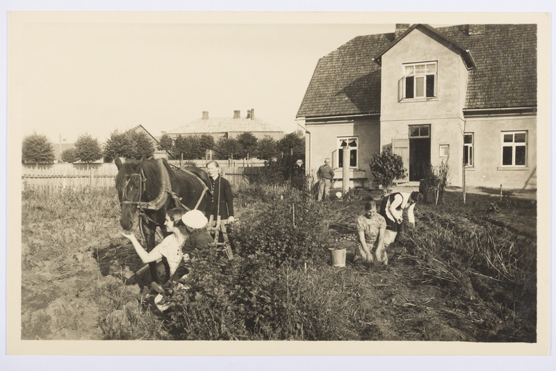 Toimetamised Uue-Aleši talu aiamaal Luke kihelkonnas