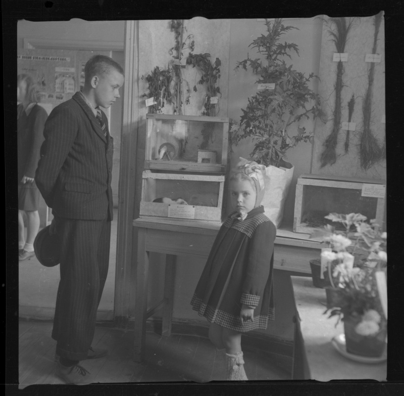 Lapsed taimi vaatamas