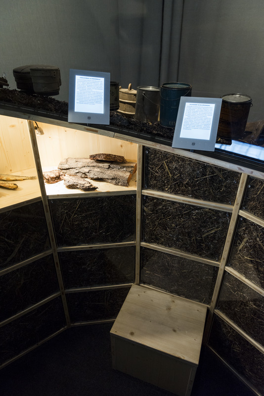 Teemasaare "Veeteed" sisevaade näitusel "Inimene ja looduskeskkond"