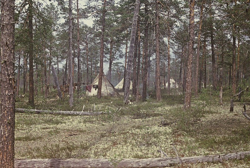 Hantide (põhjapõdrakasvatajad) ajutine suveasula Agani jõe ülemjooksul.