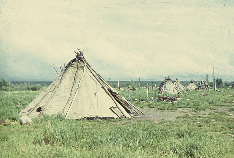 Handi püstkojad. Jamali Neenetsi rahvusringkond Šurõškarõ rajoon Lophari külanõukogu ja suveküla.
Foto 1977.