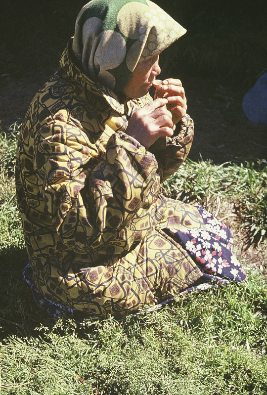 Handi naine toorest kala söömas. Jamali Neenetsi rahvusringkond Šurõškarõ rajoon Gorki külanõukogu Kuševati küla.
Foto 1977.