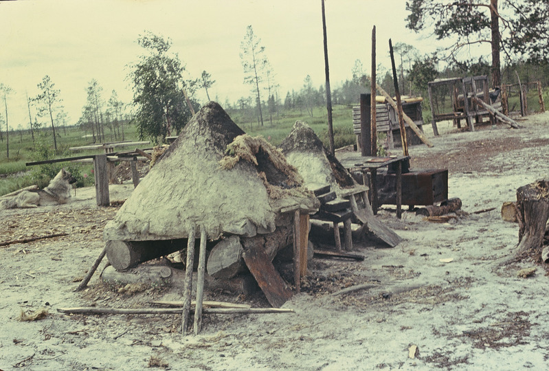 Esiplaanil hantide leivahjud. Handi-Mansi autonoomne ringkond 
Berjozovo rajoon Kazõmi külanõukogu Aivošjugani väikeasula.
Foto 1984.