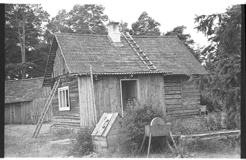 Elamu, kaev, käi, Vergi, Metsa talu
