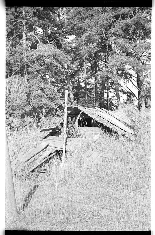 Kelder, Vergi, Ranna talu