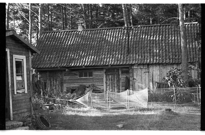 Laut ja mõrd, Vergi, Ranna talu