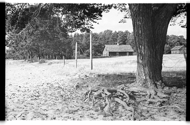 Puujuured ja Ranna talu üldvaade, Vergi