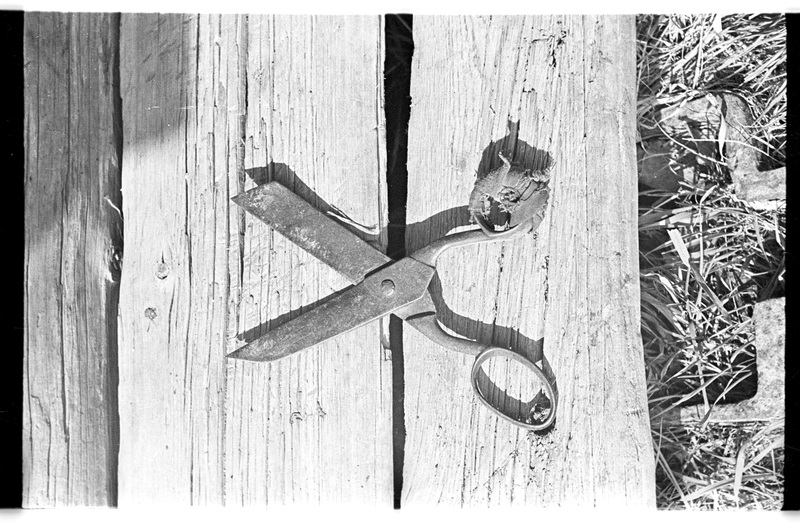 Rätsepa käärid, Vergi, Oja talu