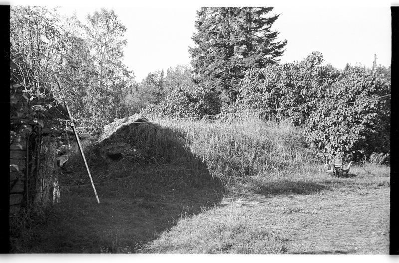 Kelder, Pedassaare (Lahemaa), Pärtli talu