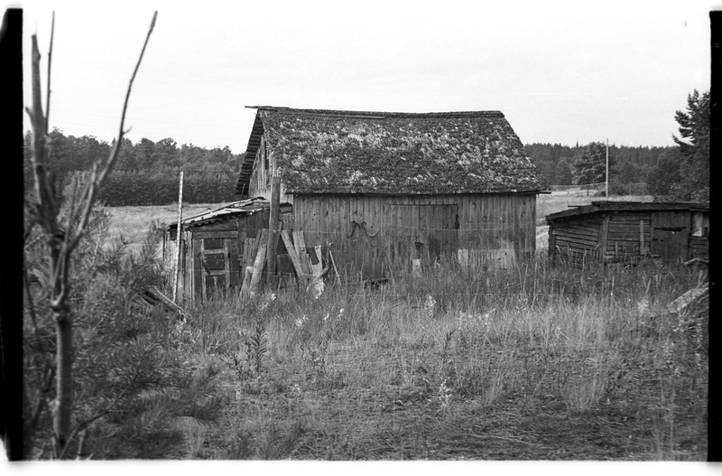 Kuur, Pedassaare (Lahemaa), Männikuotsa talu