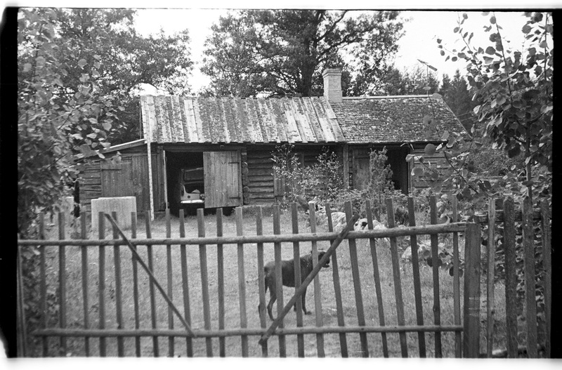Värav, garaaž ja koer, Pedassaare (Lahemaa), Ranna talu