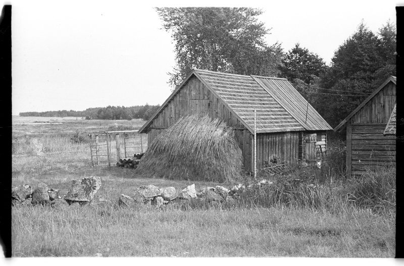 Laut-heinaladu, Pedassaare (Lahemaa), Nurga talu