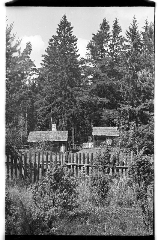 Kadapiku talu üldvaade, Võhma (Lahemaa)