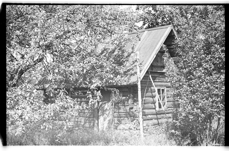 Saun, Võhma (Lahemaa), Tagametsa talu