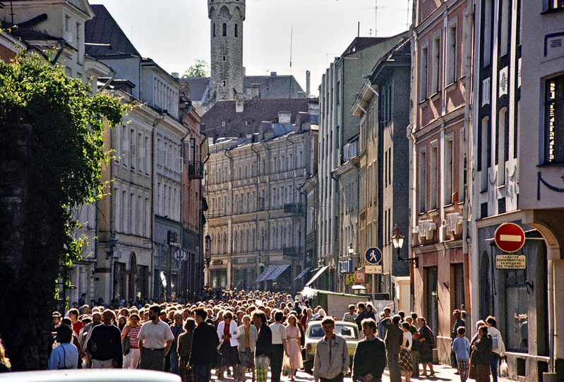 Tallinn, Viru tänav