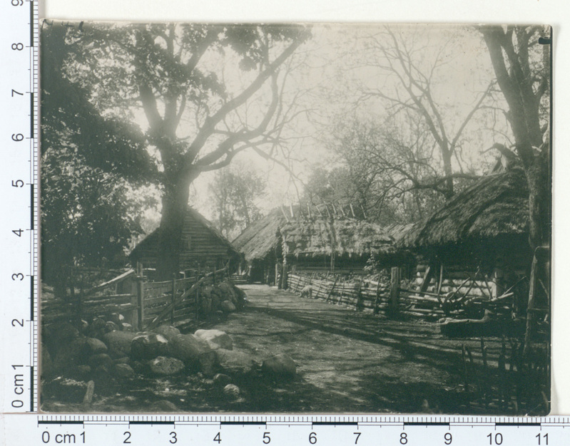 Talu aitadega, Ruhnu