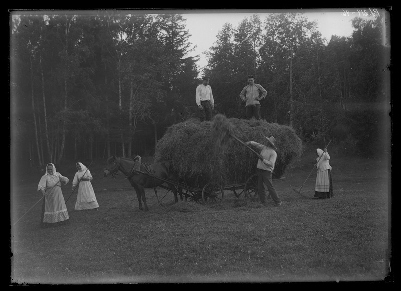 Kuusalu khk., heinalised Tsitres