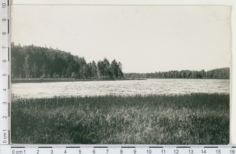 Vasula järv Tartumaal