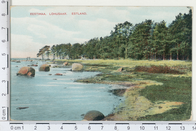 Lohusaar