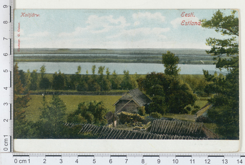 Koitjärv