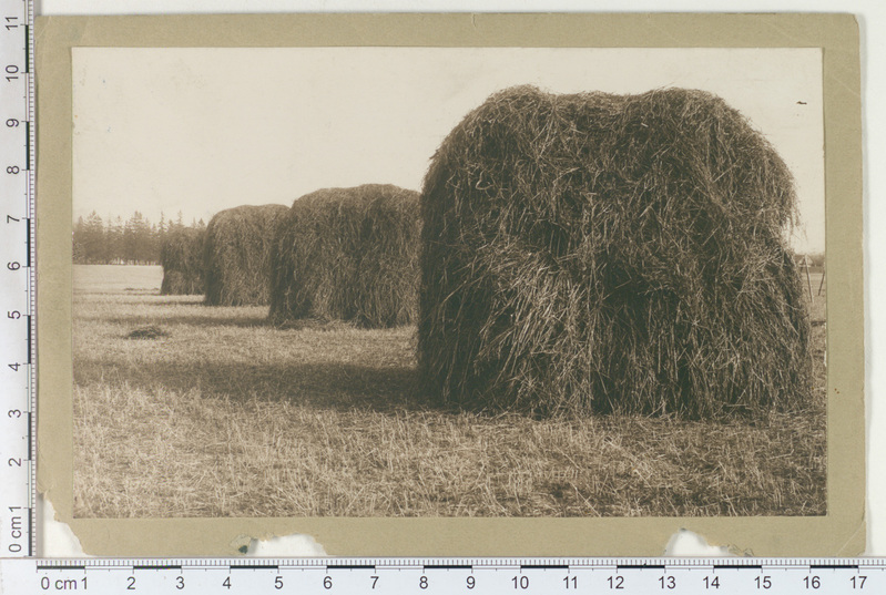 Tartu, Tähtvere mõisa väli, 1912