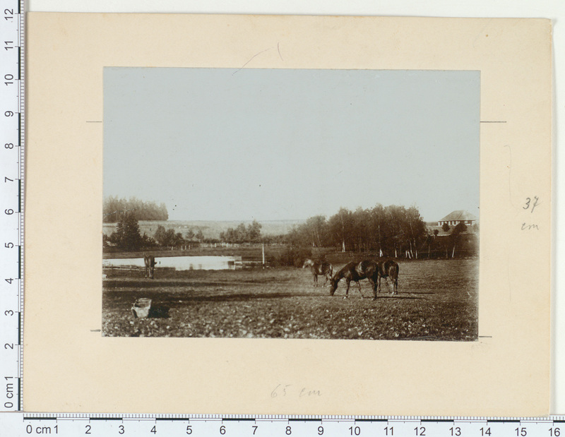 Sangaste mõisa koppel 1900