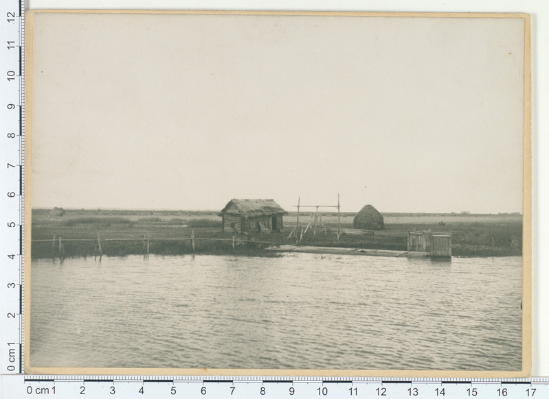 Kalurionn rannas 1909. a. Emajõe ääres