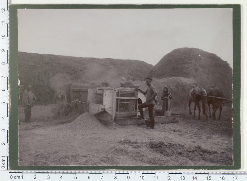 Viljapeksmine Linda asunduses, Kaarel Susi talus 1912