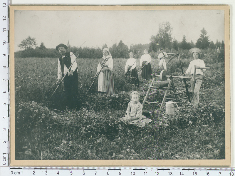 Segavilja niitmine Hallinga vallas