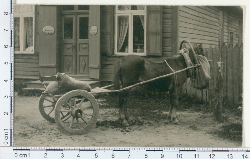 Vana maja Tagapera - Reisikul, maja ees hobune vankriga