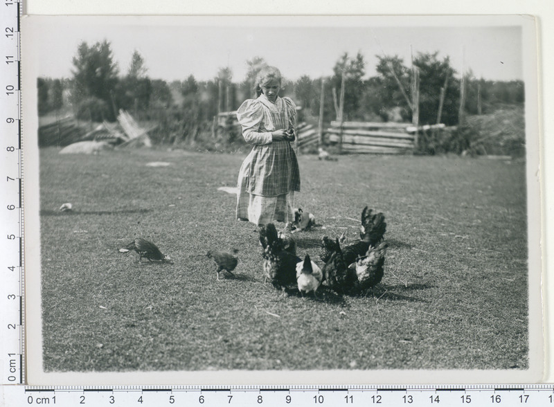 T. - Maarja khk, Tartu lähedal tüdruk söödab kanu