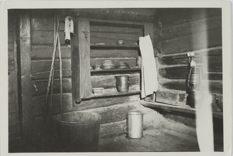 Suurpuu t. "anumanulk", Molnika k