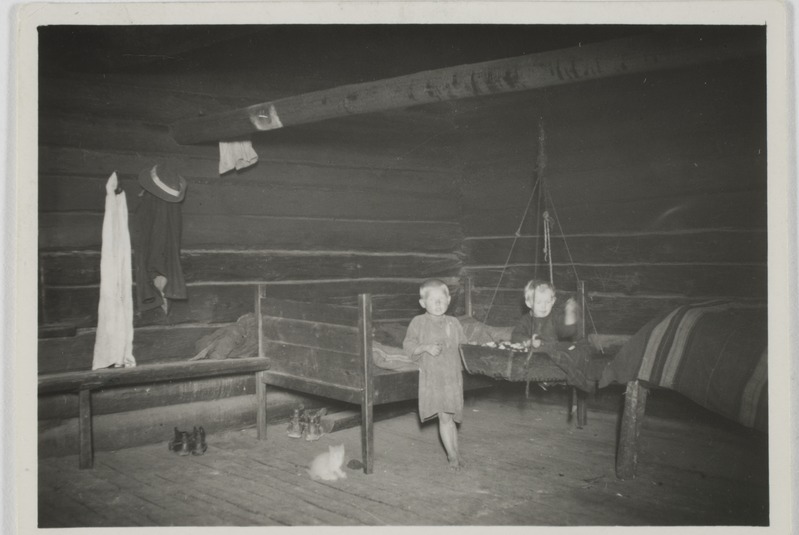 Suurpuu t. "sängünulk", Molnika k