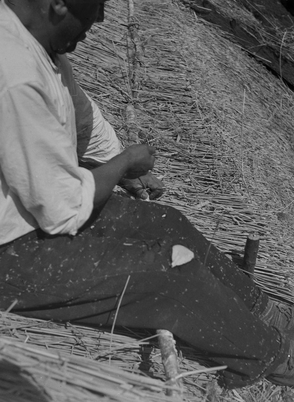 Pendi talu katuse vitsa sidumine, Kärdu k, Kaarma khk