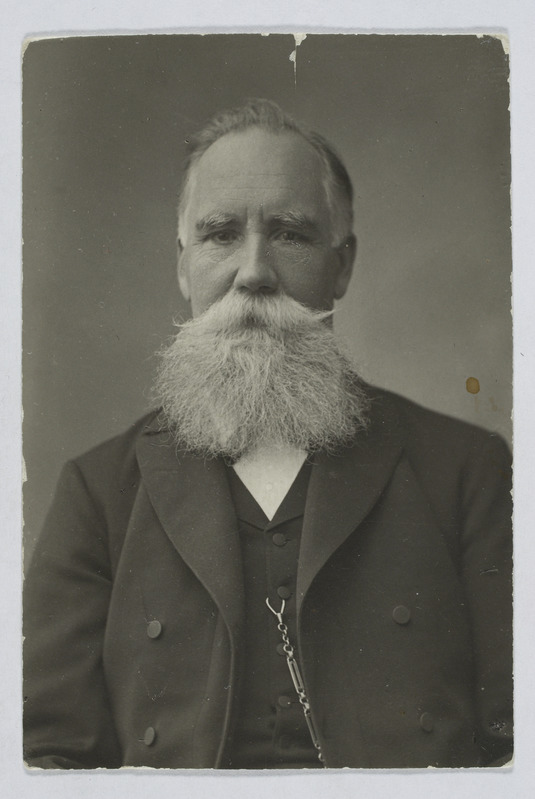 Hugo Treffner, portree