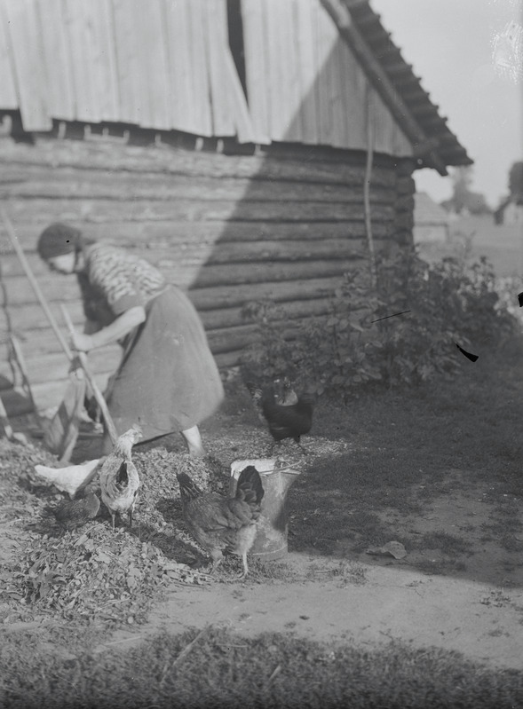 Alide Peterson, Ilzene (Ilsnä) v, Paiķēni (Paikna) k, Läti