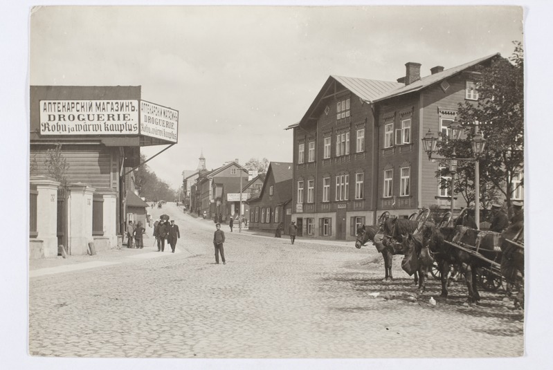 Tartu, Narva tn mägi