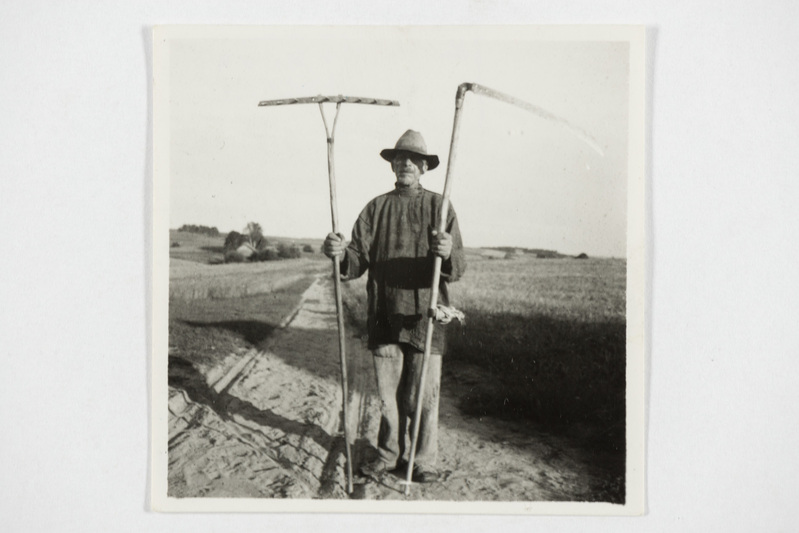 Mees vikati ja rehaga. Tjapši k