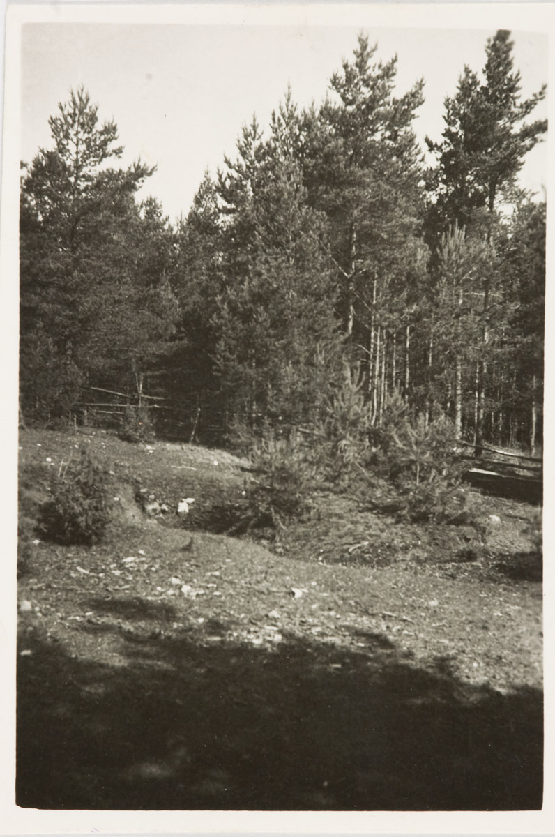 Sepa miiliauk, Sepa miiliauk, Järise k, Mustjala khk