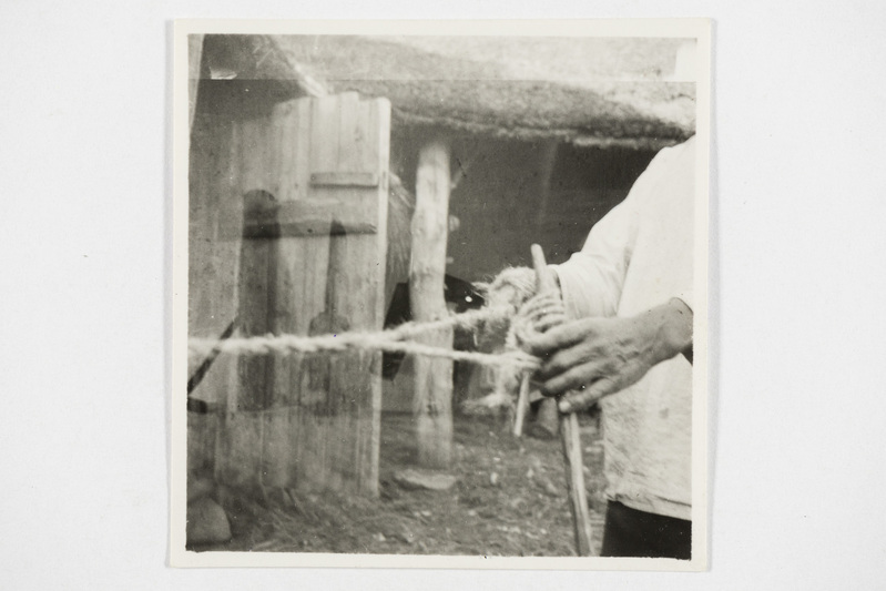 Köie keerutamine. Tjapši k