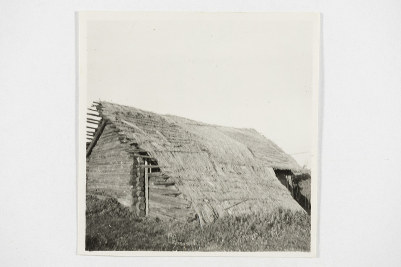 Vana kõlgus. Tjapši k