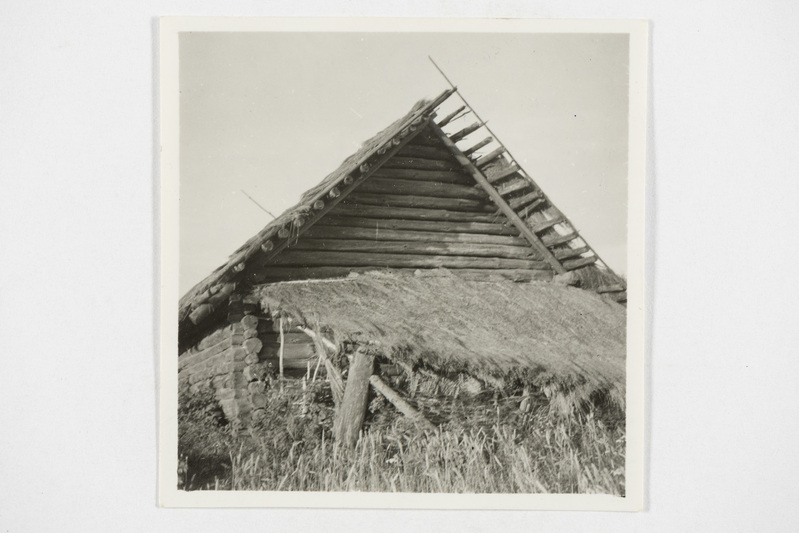 Vana kõlgus. Tjapši k