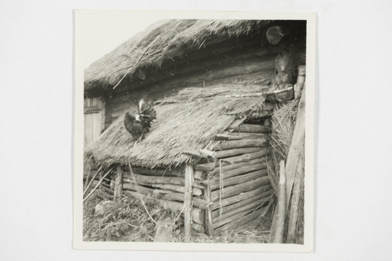 A. Jakimenko laudanurk. Tjapši k