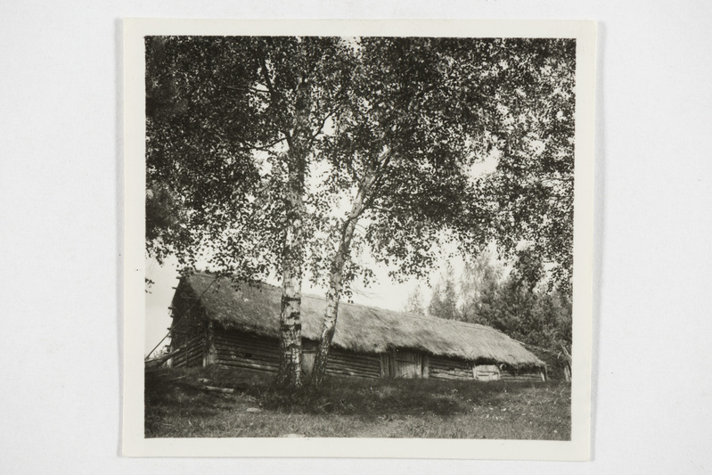 Jarošenko lauda ehitus. Tjapši k