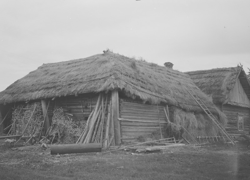 Pärtel Reijo Pärtini talu lauda tagantvaade, Kullaküla, Eesti-Ingeri