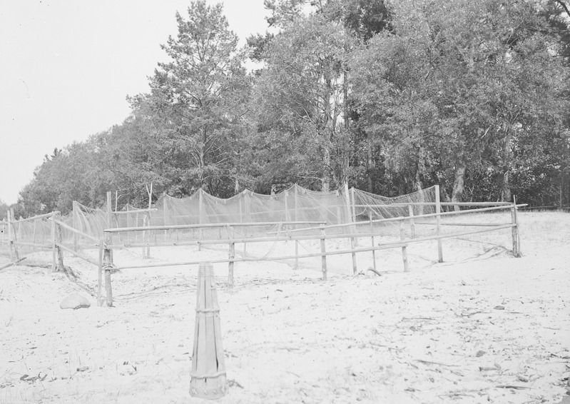 Kalavõrgud kuivamas Liivaranna talus, Ropša k, Eesti-Ingeri