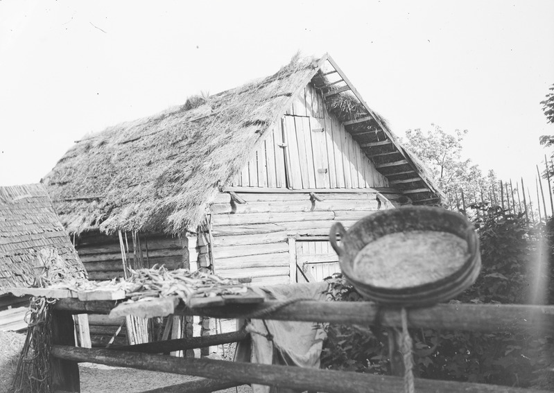 Silgud kuivamas Liivaranna talus, Ropša k, Eesti-Ingeri