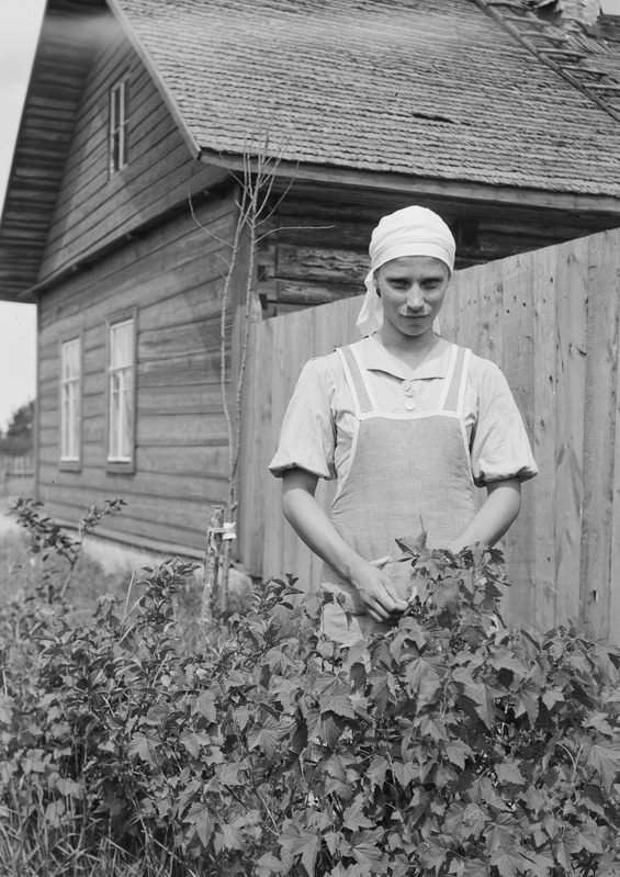 Alma Sippo "huntu" kujuliselt seotud rätikuga Sippo talus, Vanaküla, Eesti-Ingeri