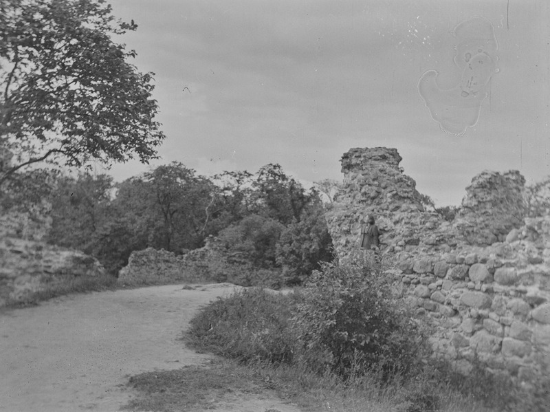 Viljandi lossi (ordulinnuse) varemed